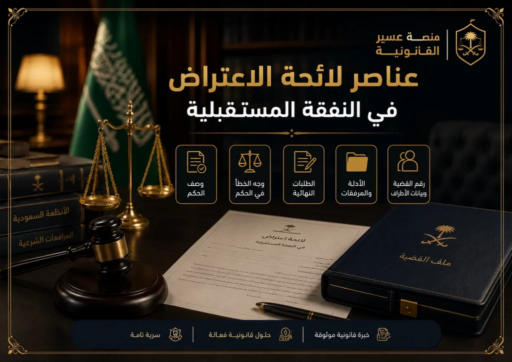 إنفوجرافكس يوضح عناصر لائحة الاعتراض في النفقة المستقبلية